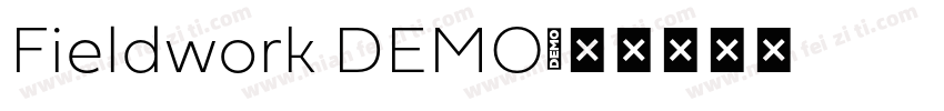 Fieldwork DEMO字体转换